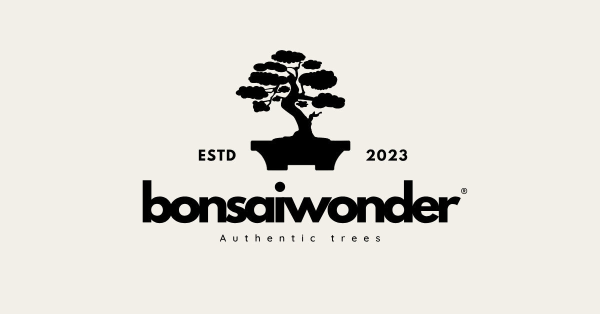 Bonsaiwonder | Drzewka bonsai i wskazówki pielęgnacyjne
– bonsaiwonder®