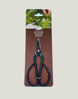 Large Bonsai Scissors