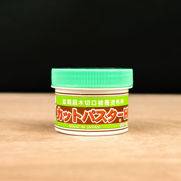 Bonsai pasta do ran (do drzew iglastych)